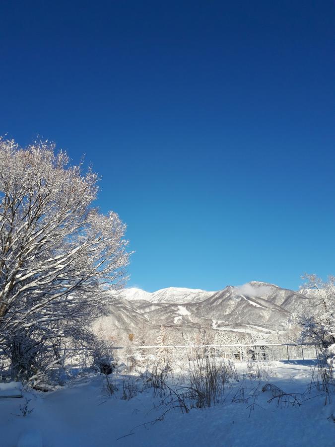 Pension Snow Hakuba Buitenkant foto